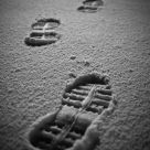 Snowbound