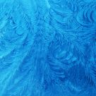 frosted windshield