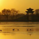 The Summer Palace