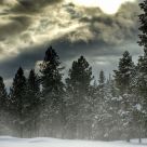Cold Day
