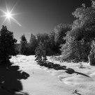 Sun, Snow, and Shadows