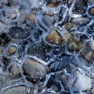 Iced lake