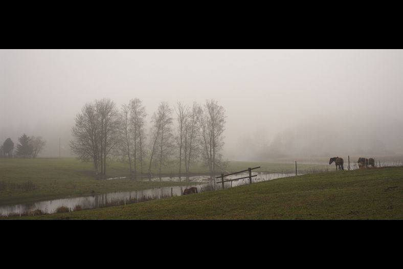 Misty river
