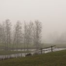 Misty river