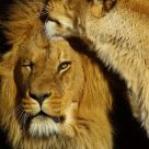 i kiss you