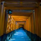 Torii gates of Fushimi Inari