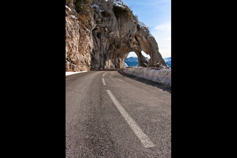 Road runner