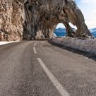 Road runner