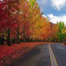 Color Around The Turn