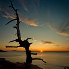 Sunrise Silhouette