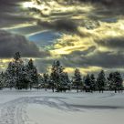 Ski Trails