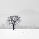Lonely