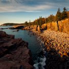 Otter Cliffs Sunrise