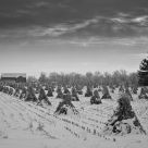 Ohio farm in the winter