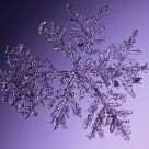 Elaborate snow crystal
