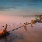 Mist Rising