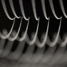 Web lines