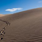 Footsteps