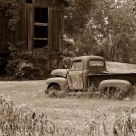 Put out to pasture