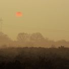 Foggy Sunrise