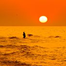 Golden Sea