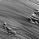 Lines and shapes