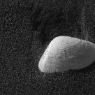 Clam Shell