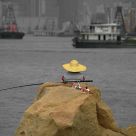 Fishing on a rock
