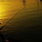 Fisherman