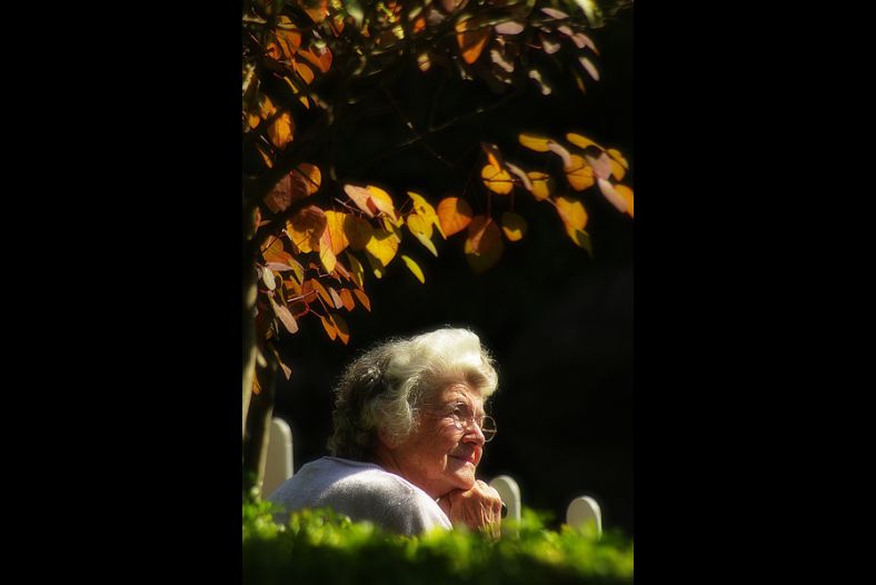 Leisure in the park