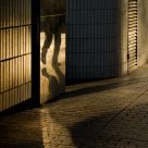 Mirror Walk