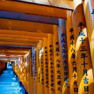 Orange Gateways