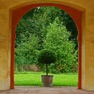 little tree