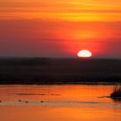 Bombay Hook Sunrise