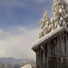 Winterfeling