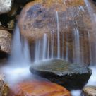 Reavis Creek