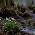 march