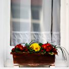 Colours On My Window Sill