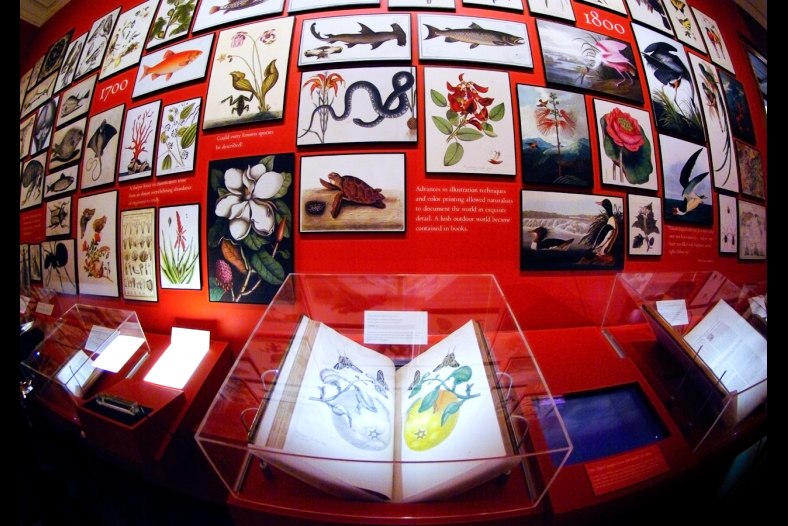 The Naturalists