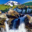 Alpine Meadow Cascade, Mount Rainier