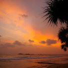 Sri-lankan sunset