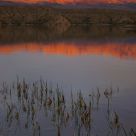 First Light
