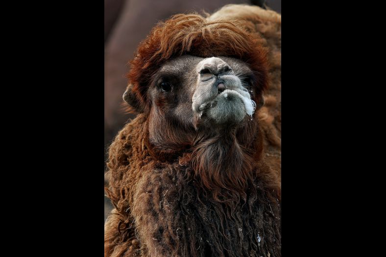 Unkempt Beauty