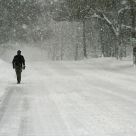 Winter Stroll