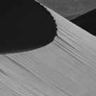Morning Light on a Sand Dune