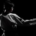 Taekwondo Ferocity