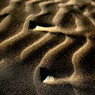 Broken Shell