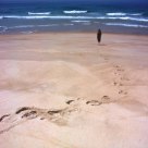 Pristine Atlantic Beach
