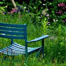 Green Place