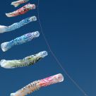 Kites on a Line